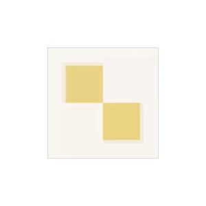 print and co incognito m1 01