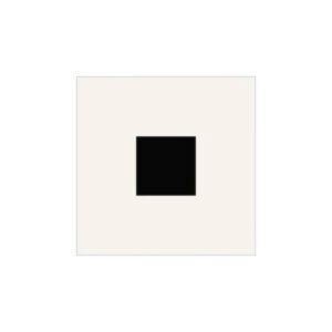 print and co incognito t1 01