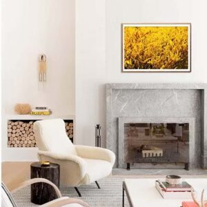 print and co amarelo napa valley usa 02