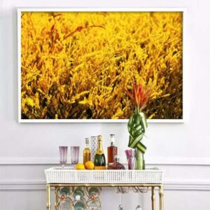 print and co amarelo napa valley usa 03