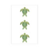 print and co baby turtles verde 01