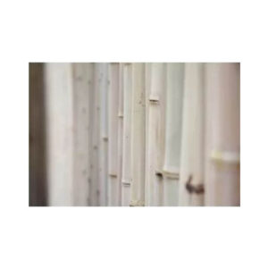 print and co bamboo 01