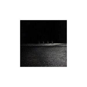 print and co by night sea wonders 01