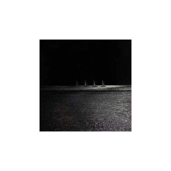 print and co by night sea wonders 01