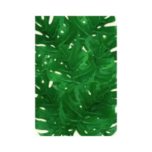 print and co costela de adao 01