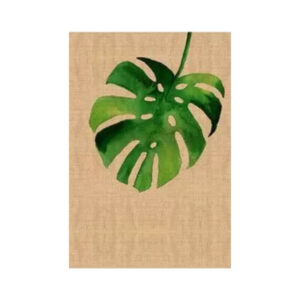 print and co costela de adao com raffia 01