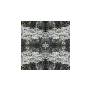 print and co hanging garden 2 01