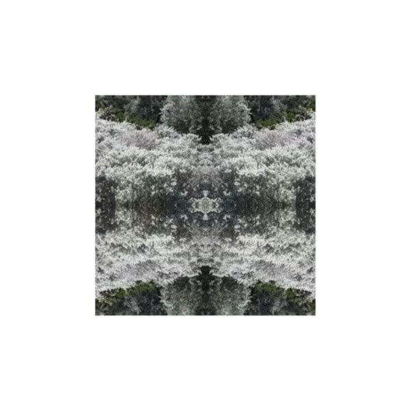 print and co hanging garden 2 01