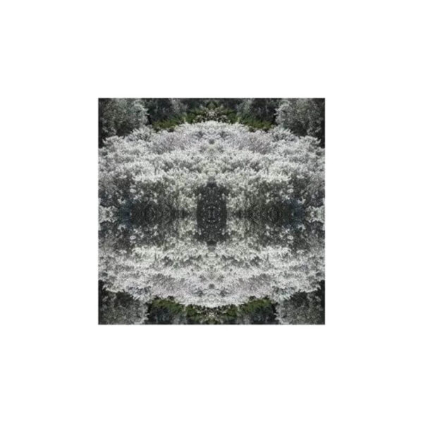 print and co hanging garden 3 01