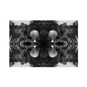 print and co jardin du soleil–pb napa valley usa 01