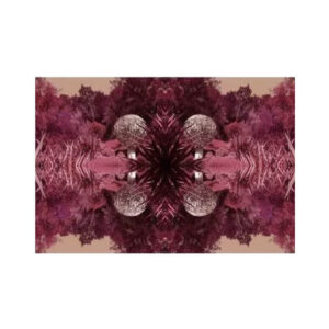 print and co jardin du soleil–sauvignon napa valley usa 01