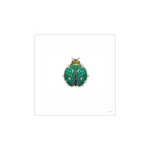 print and co joaninha vintage 01