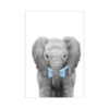 print and co kids animals elefante com gravatinha 01