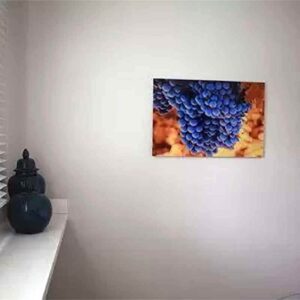 print and co napa valley usa 03