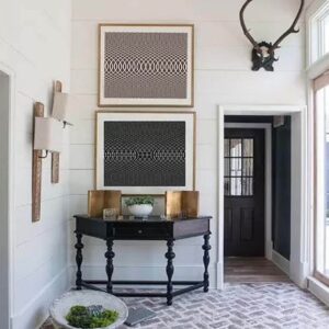 print and co op illusion 4 04