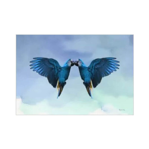 print and co reencontro blue sky 01