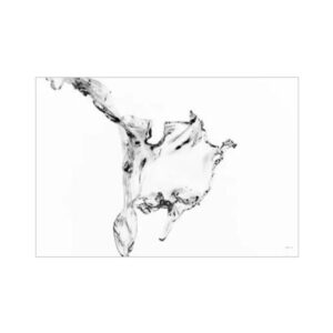 print and co splash 1 01