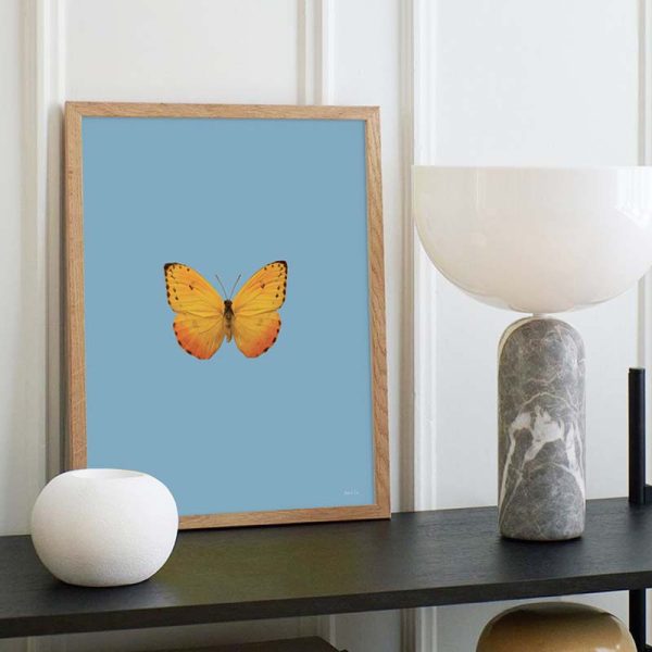 print and co ambiente butterfly light blue az cl 01