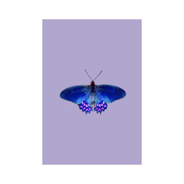 print and co butterfly lilac 01