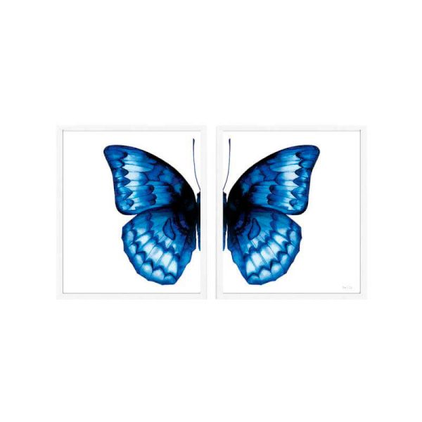 print and co borboleta azul diptico 01