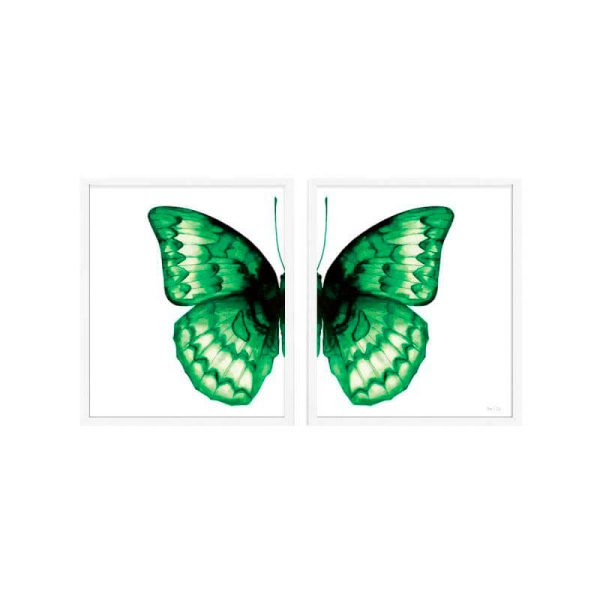 print and co borboleta verde diptico 01