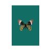 print and co butterfly green 01