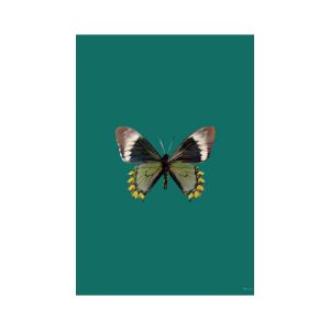 print and co butterfly green 01