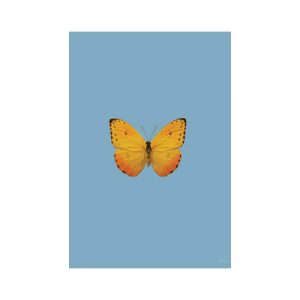 print and co butterfly light blue 01