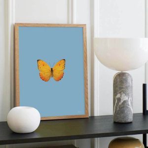 print and co butterfly light blue 02