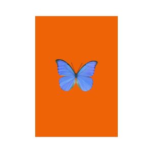 print and co butterfly orange 01