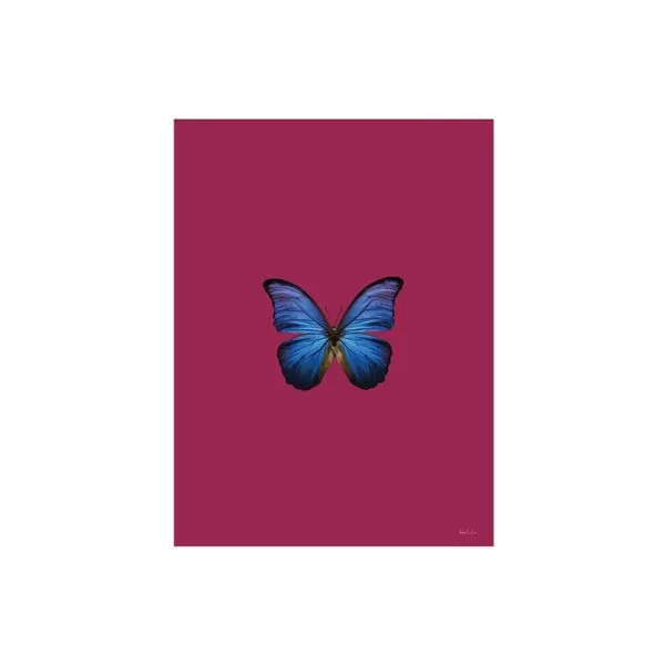 print and co produto butterfly beet red vm 01